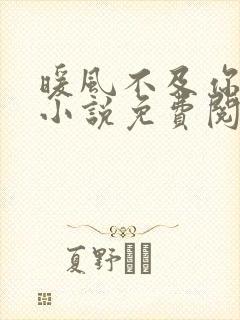 暖风不及你情深小说免费阅读完整