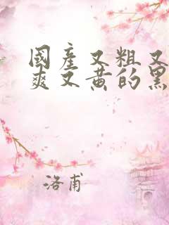 国产又粗又猛又爽又黄的黑人