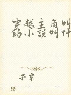 穿越主角叫沈浪的小说叫什么名字