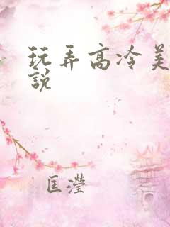 玩弄高冷美人小说