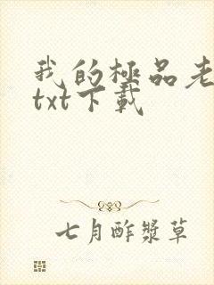 我的极品老婆 txt下载