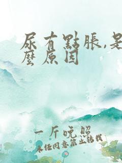 尿有点胀,是什么原因