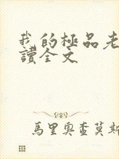 我的极品老婆阅读全文