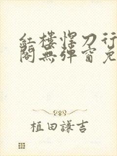 红楼悍刀行笔趣阁无弹窗免费