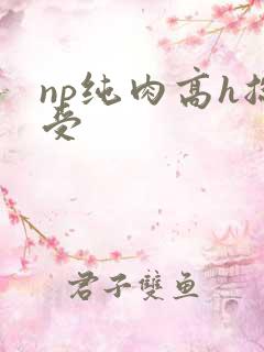 np纯肉高h总受