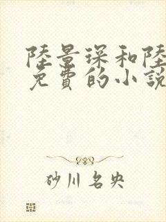 陆景琛和陆晚晚免费的小说