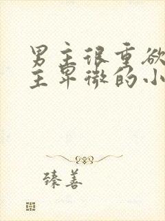 男主很重欲,女主卑微的小说