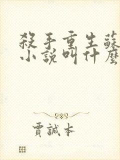 杀手重生苏玥的小说叫什么