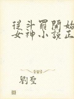 从斗罗开始俘获女神小说正版