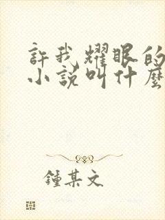 许我耀眼的原著小说叫什么