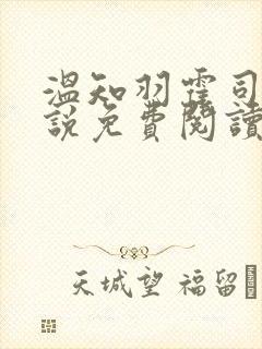 温知羽霍司砚小说免费阅读