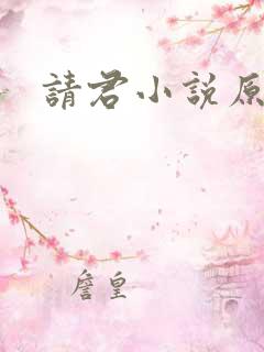 请君小说原著