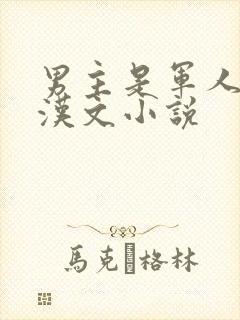 男主是军人的糙汉文小说