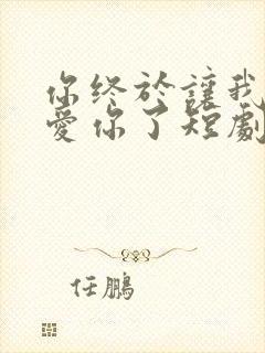 你终于让我不再爱你了短剧