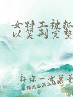 女特工被抓住施以笑刑完整版