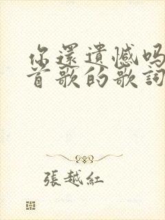 你还遗憾吗是哪首歌的歌词