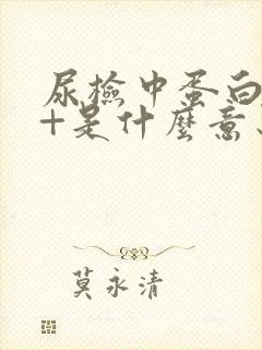 尿检中蛋白质2+是什么意思