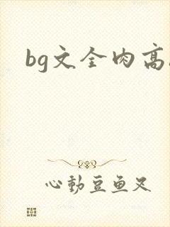 bg文全肉高h