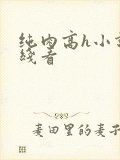 纯肉高h小说在线看
