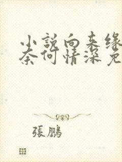 小说向来缘浅,奈何情深免费阅读