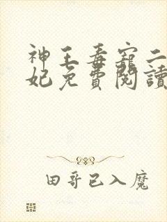 神王毒宠二嫁王妃免费阅读全文