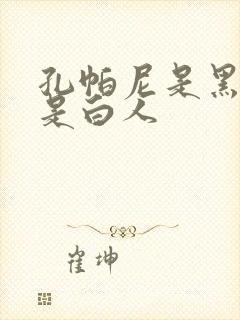 孔帕尼是黑人还是白人