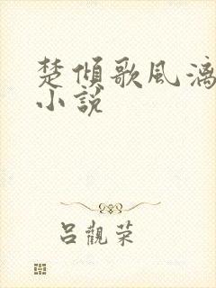 楚倾歌风漓夜的小说