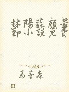 林阳苏颜最新章节小说免费