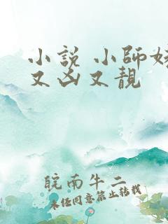 小说 小师妹她又凶又靓