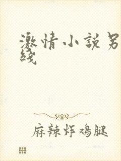 激情小说另类在线