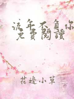 流年不负你情深 免费阅读