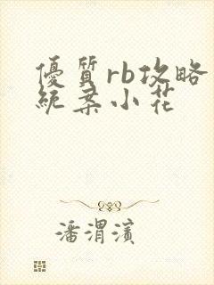 优质rb攻略系统案小花