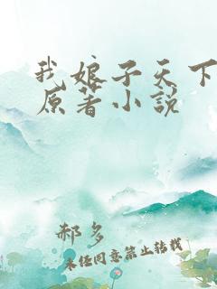 我娘子天下第一原著小说