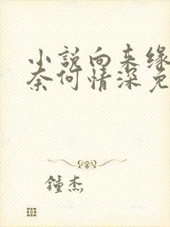 小说向来缘浅,奈何情深免费