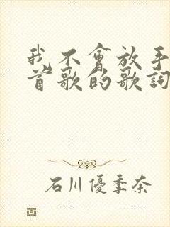 我不会放手是哪首歌的歌词