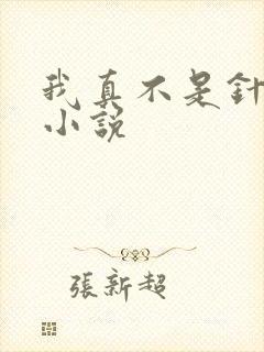 我真不是针对你小说