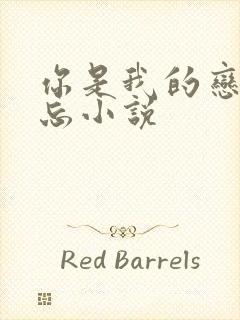 你是我的恋恋不忘小说