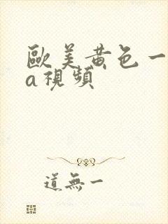 欧美黄色一级aa视频