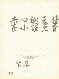 赤心巡天情何以甚小说免费无弹窗