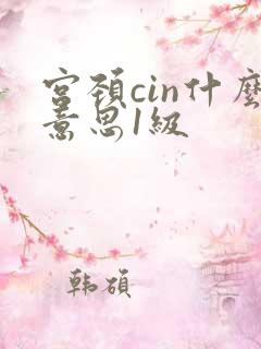 宫颈cin什么意思1级