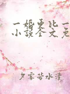 一婚更比一婚高小说全文免费阅读