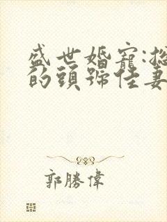 盛世婚宠:总裁的头号佳妻