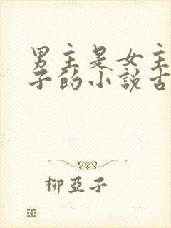 男主是女主小叔子的小说古文
