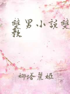 双男小说双性调教