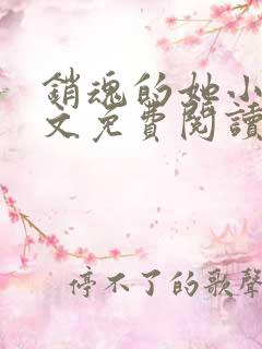 销魂的她小说全文免费阅读