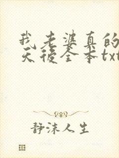 我老婆真的不是天后全本txt下载