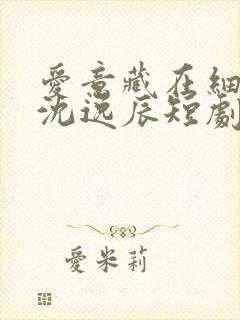 爱意藏在细节里沈逸辰短剧免费观看