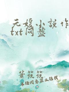 元媛小说作品集txt网盘