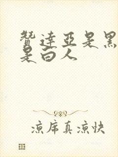 赞达亚是黑人还是白人