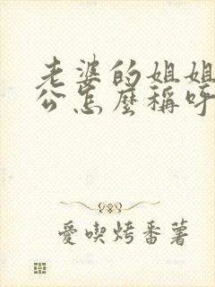 老婆的姐姐的老公怎么称呼